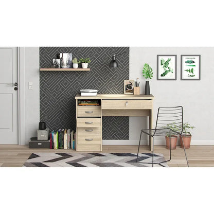 Porch & Den Skylar 5-drawer Desk