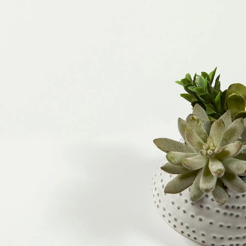 Porch & Den Skylar 5-drawer Desk