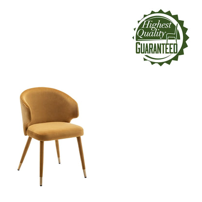 23.22 Inch Metal Velvet Chair Upholstered