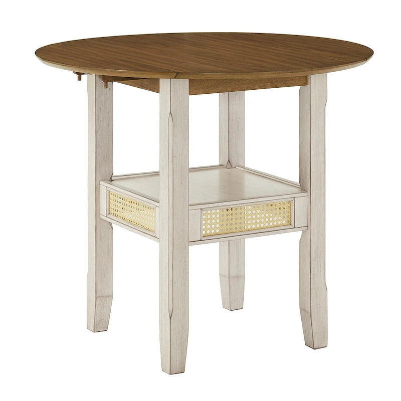 36 Inch Modern Rattan Table