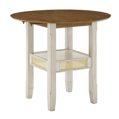 36 Inch Modern Rattan Table