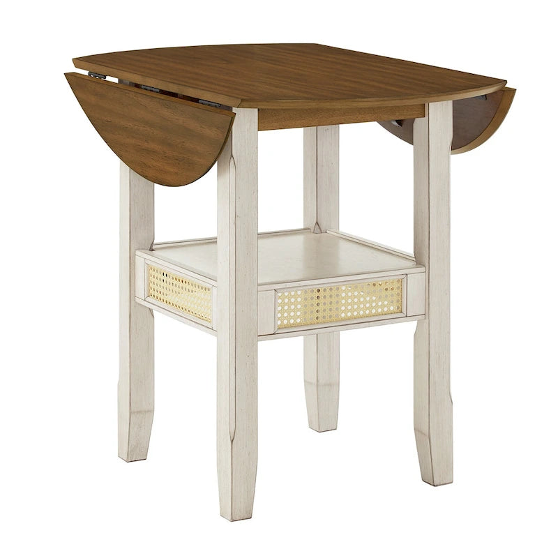 36 Inch Modern Rattan Table