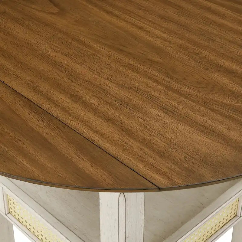 36 Inch Modern Rattan Table