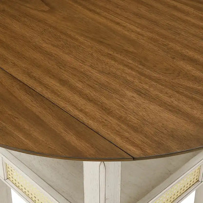 36 Inch Modern Rattan Table