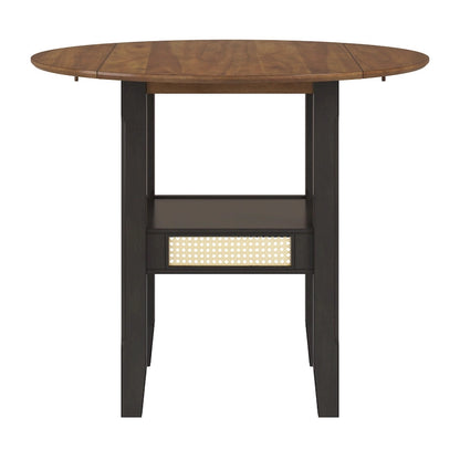 36 Inch Modern Rattan Table