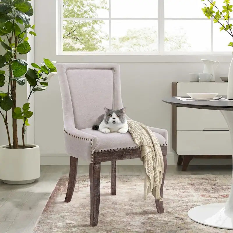 Modern Solid Wood Metal Chair Upholstered