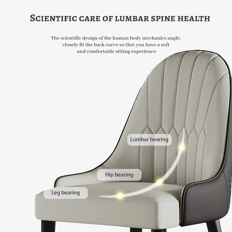 Modern Metal Leather Chair Extendable