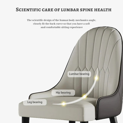 Modern Metal Leather Chair Extendable