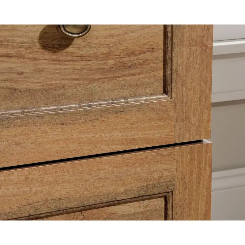 Full Wood Metal File Cabinet