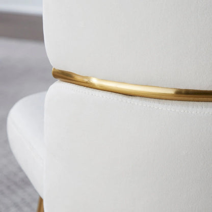 20.25 Inch Modern Metal Velvet Chair